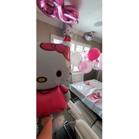 JEWELESPARTY 6PC HELLO KITTY FOIL BALLOONS PARTY BALLOON DECORATIONS SUPPLIES THEME IDEA CELEBRATION HAPPY BIRTHDAY $25.62 Ki...