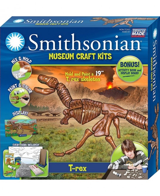 19" Tyrannosaurus Rex Perfect Cast Museum Cast Paint Display and Learn Craft Kit $37.97 Educational Science Kits