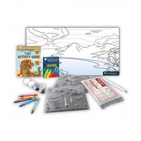 19" Tyrannosaurus Rex Perfect Cast Museum Cast Paint Display and Learn Craft Kit $37.97 Educational Science Kits