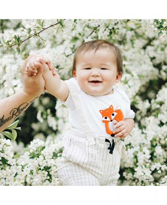 Friendly Fox Teether Toy Multi-Textured Soft & Soothing Easy to Hold (BPA Free Freezer & Dishwasher Safe) $13.45 Baby Teether...