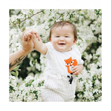 Friendly Fox Teether Toy Multi-Textured Soft & Soothing Easy to Hold (BPA Free Freezer & Dishwasher Safe) $13.45 Baby Teether...