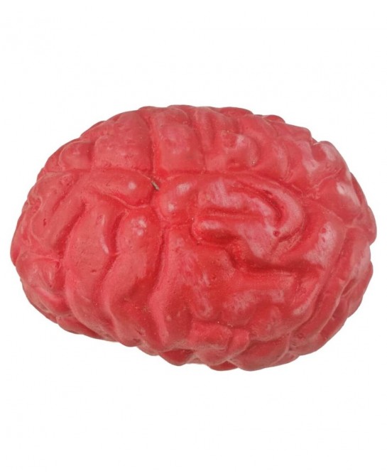 Bloody Scary Fake Human Brain Horrible Heart Organ for Trick Toys Halloween Props Festival Decoration Haunted House $22.36 Ga...