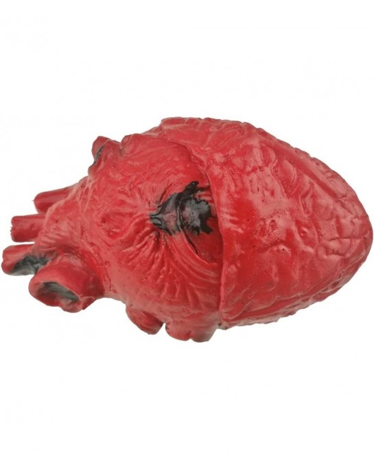 Bloody Scary Fake Human Brain Horrible Heart Organ for Trick Toys Halloween Props Festival Decoration Haunted House $22.36 Ga...