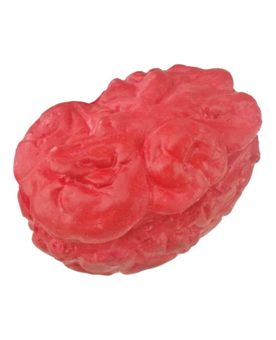 Bloody Scary Fake Human Brain Horrible Heart Organ for Trick Toys Halloween Props Festival Decoration Haunted House $22.36 Ga...