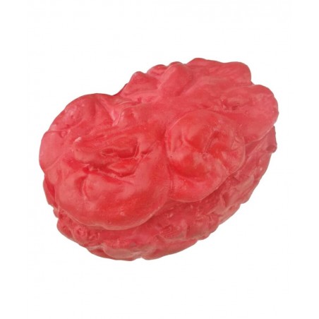 Bloody Scary Fake Human Brain Horrible Heart Organ for Trick Toys Halloween Props Festival Decoration Haunted House $22.36 Ga...