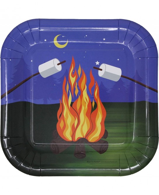 Camping Party Supplies Packs (101 Pieces for 16 Guests) - Camping Birthday Party Supplies Camping Plates and Napkins Smores P...