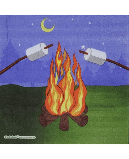 Camping Party Supplies Packs (101 Pieces for 16 Guests) - Camping Birthday Party Supplies Camping Plates and Napkins Smores P...
