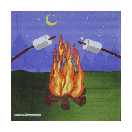 Camping Party Supplies Packs (101 Pieces for 16 Guests) - Camping Birthday Party Supplies Camping Plates and Napkins Smores P...