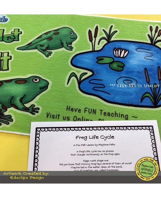Frog Life Cycle Story Set for Flannel Board - Uncut $16.64 Magnetic & Felt Playboards