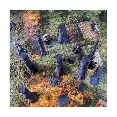 Charred Forest $43.91 Game Accessories