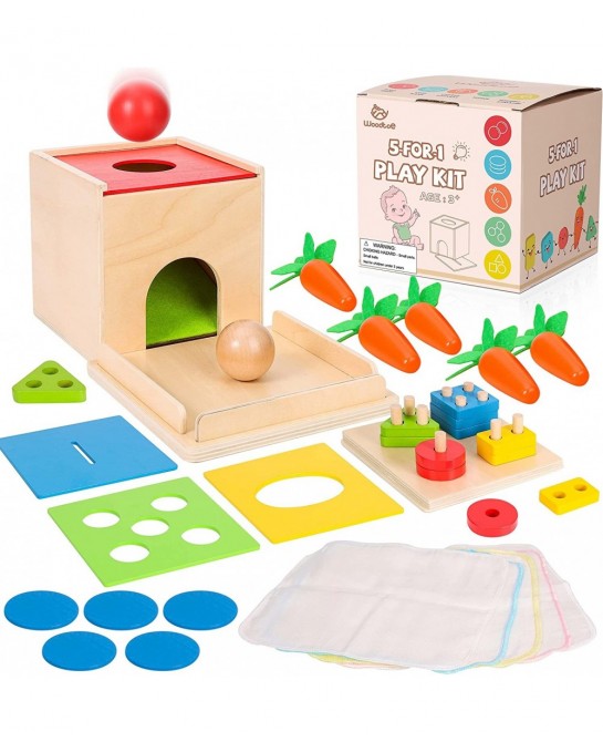 5 in 1 Play Kit Wooden Montessori Toys Object Permanence Box Baby Tissue Box Carrot Harvest Sorting Stacking Coin Box Toddler...