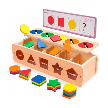 Wooden Shape & Color Sorting Toy with Storage Box 25 Non-Toxic Geometric Blocks Montessori Toy Preschool Educational Learning...