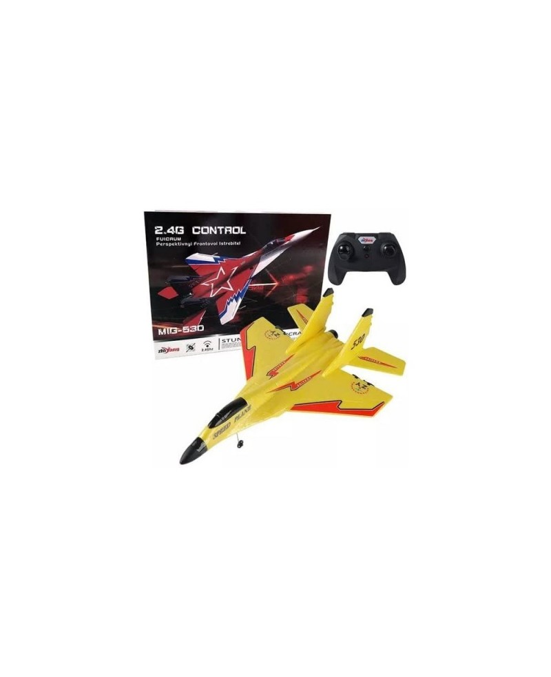 Remote Control Airplane ZY-530PRO| 2 Channel Remote 2.4 GHZ Automatic Balance Easy to Fly| RC Plane for Adults Kids and Begin...