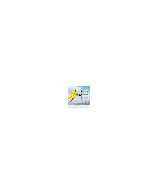 Remote Control Airplane ZY-530PRO| 2 Channel Remote 2.4 GHZ Automatic Balance Easy to Fly| RC Plane for Adults Kids and Begin...