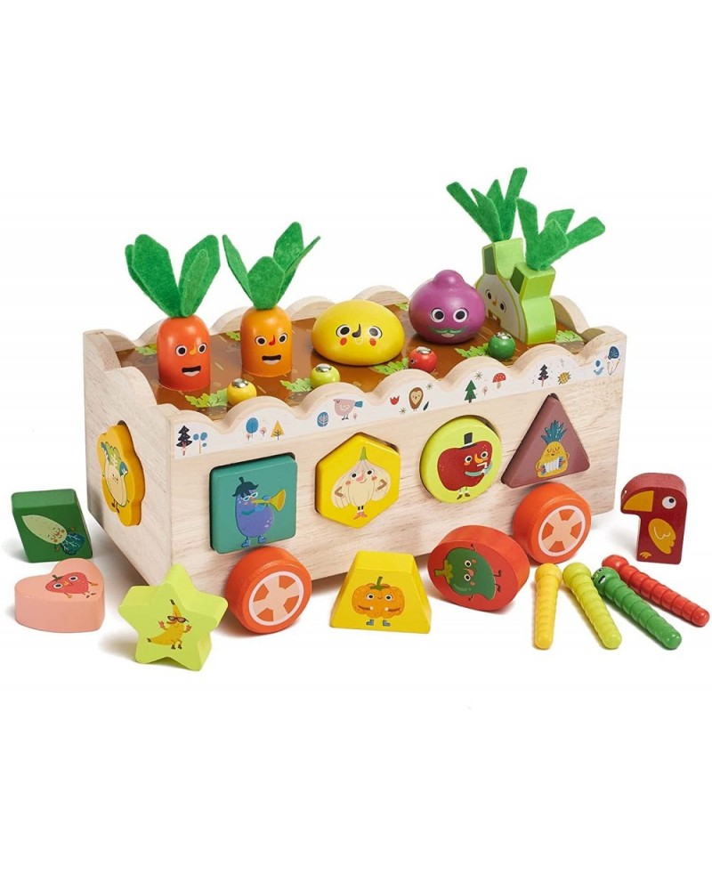 Montessori Wooden Toys for Baby Age 2 3 4 Year Old Shape Sorting Stacking Toys for Toddlers 2-3 Wood Preschool Learning Educa...