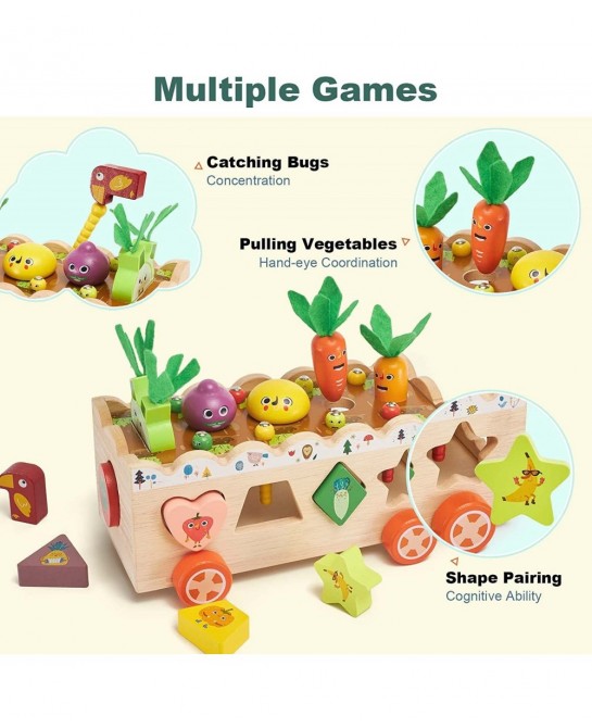 Montessori Wooden Toys for Baby Age 2 3 4 Year Old Shape Sorting Stacking Toys for Toddlers 2-3 Wood Preschool Learning Educa...