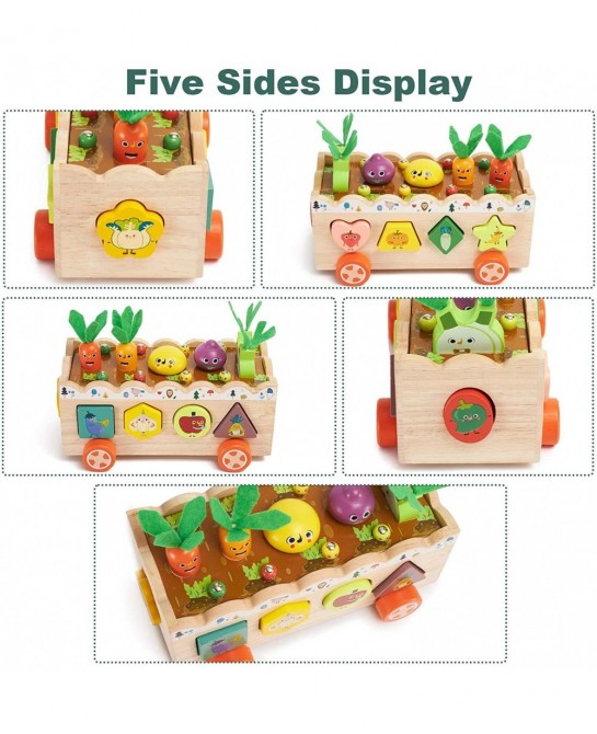 Montessori Wooden Toys for Baby Age 2 3 4 Year Old Shape Sorting Stacking Toys for Toddlers 2-3 Wood Preschool Learning Educa...