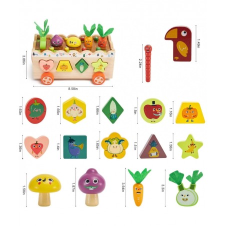 Montessori Wooden Toys for Baby Age 2 3 4 Year Old Shape Sorting Stacking Toys for Toddlers 2-3 Wood Preschool Learning Educa...