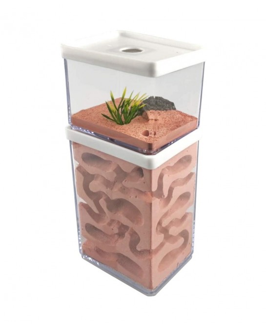 Ant Farm Box Ant Home for Kids Study of Ant Behavior Ant Nest Farm Educational Formicarium for Ant $65.29 Habitat Science Kits