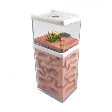 Ant Farm Box Ant Home for Kids Study of Ant Behavior Ant Nest Farm Educational Formicarium for Ant $65.29 Habitat Science Kits