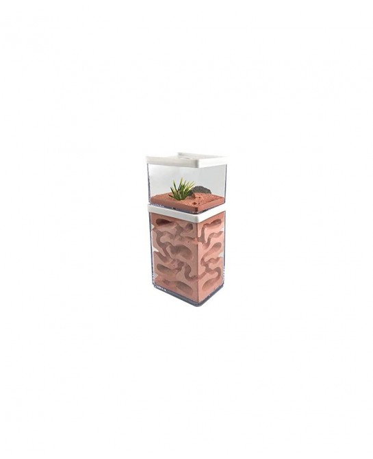 Ant Farm Box Ant Home for Kids Study of Ant Behavior Ant Nest Farm Educational Formicarium for Ant $65.29 Habitat Science Kits