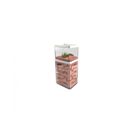 Ant Farm Box Ant Home for Kids Study of Ant Behavior Ant Nest Farm Educational Formicarium for Ant $65.29 Habitat Science Kits