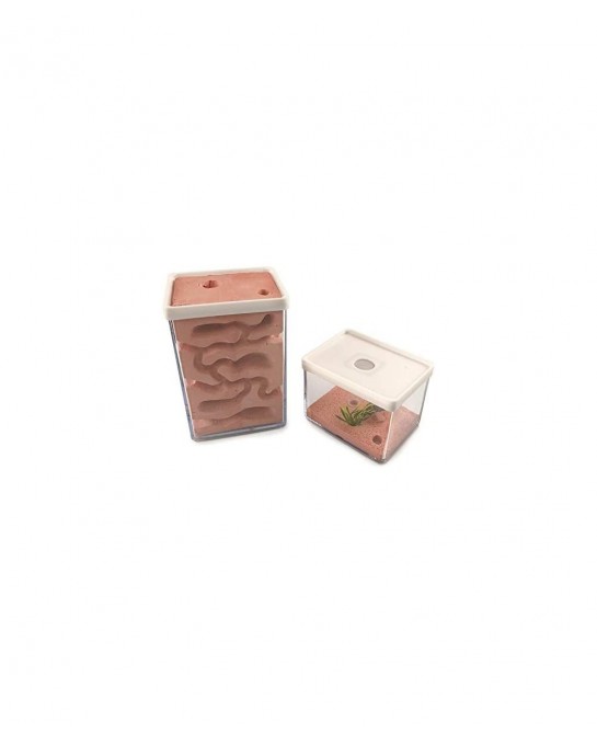 Ant Farm Box Ant Home for Kids Study of Ant Behavior Ant Nest Farm Educational Formicarium for Ant $65.29 Habitat Science Kits