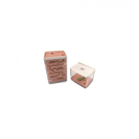 Ant Farm Box Ant Home for Kids Study of Ant Behavior Ant Nest Farm Educational Formicarium for Ant $65.29 Habitat Science Kits