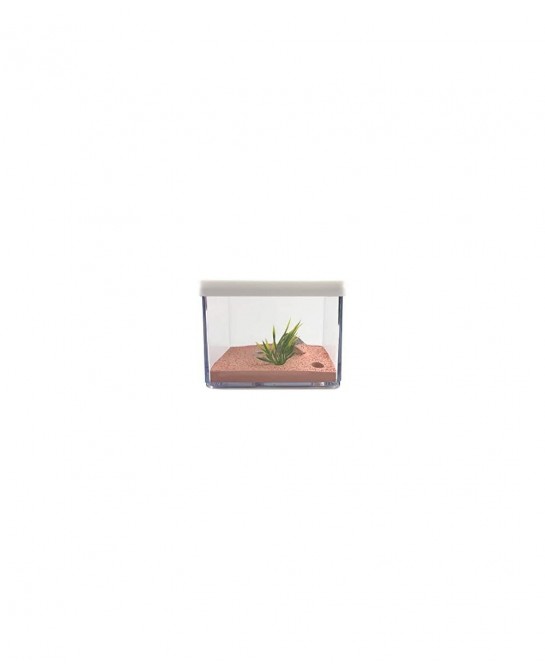 Ant Farm Box Ant Home for Kids Study of Ant Behavior Ant Nest Farm Educational Formicarium for Ant $65.29 Habitat Science Kits