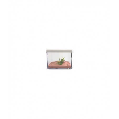 Ant Farm Box Ant Home for Kids Study of Ant Behavior Ant Nest Farm Educational Formicarium for Ant $65.29 Habitat Science Kits
