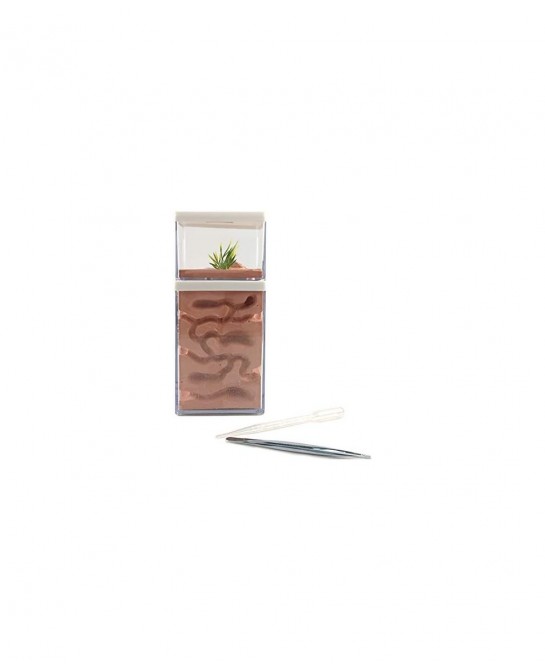 Ant Farm Box Ant Home for Kids Study of Ant Behavior Ant Nest Farm Educational Formicarium for Ant $65.29 Habitat Science Kits
