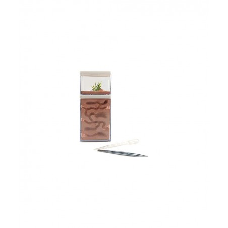 Ant Farm Box Ant Home for Kids Study of Ant Behavior Ant Nest Farm Educational Formicarium for Ant $65.29 Habitat Science Kits