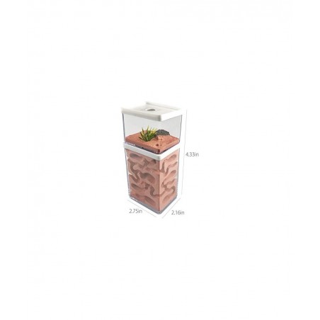 Ant Farm Box Ant Home for Kids Study of Ant Behavior Ant Nest Farm Educational Formicarium for Ant $65.29 Habitat Science Kits