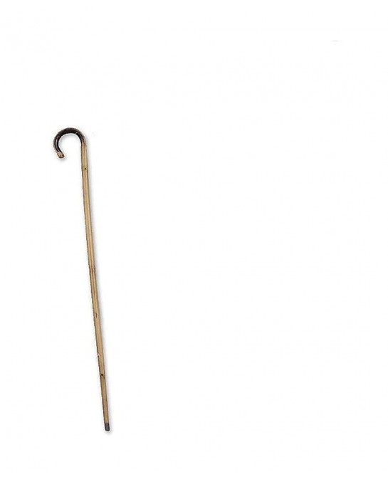 Bamboo Cane $31.61 Kids' Dress-Up Accessories