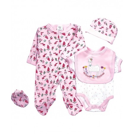Reborn Baby Girl Clothes Fit 20-22 Inch Realistic Newborn Baby Doll Clothing Outfits Flower 5pcs Sets $29.24 Doll Accessories