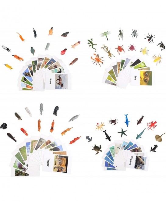 LOGANUSJ 48 PCS Montessori Marine Insects Poultry and Zoo Animals Figure Match 4 Sets - Matching Cards Montessori Language Ma...