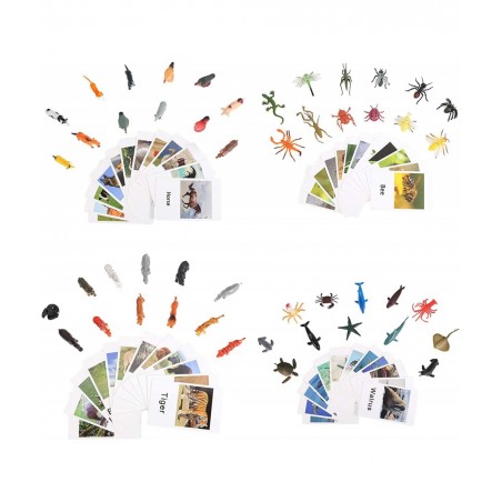 LOGANUSJ 48 PCS Montessori Marine Insects Poultry and Zoo Animals Figure Match 4 Sets - Matching Cards Montessori Language Ma...