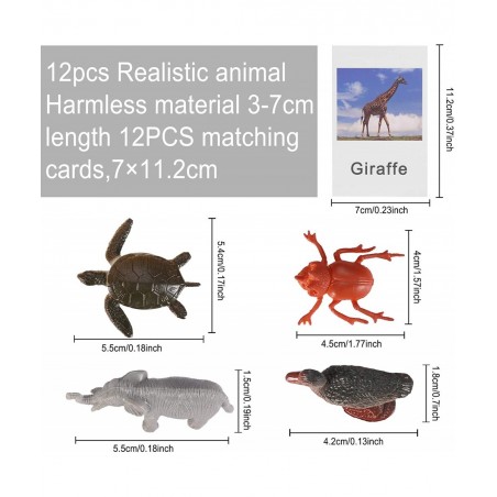LOGANUSJ 48 PCS Montessori Marine Insects Poultry and Zoo Animals Figure Match 4 Sets - Matching Cards Montessori Language Ma...