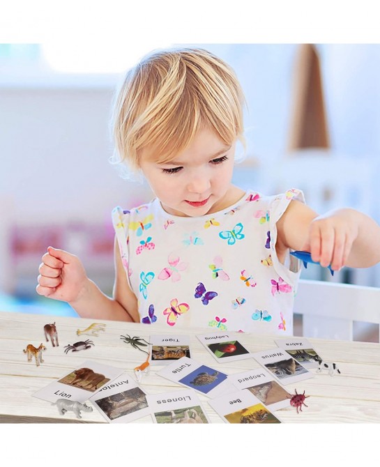 LOGANUSJ 48 PCS Montessori Marine Insects Poultry and Zoo Animals Figure Match 4 Sets - Matching Cards Montessori Language Ma...