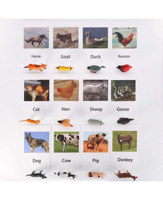 LOGANUSJ 48 PCS Montessori Marine Insects Poultry and Zoo Animals Figure Match 4 Sets - Matching Cards Montessori Language Ma...