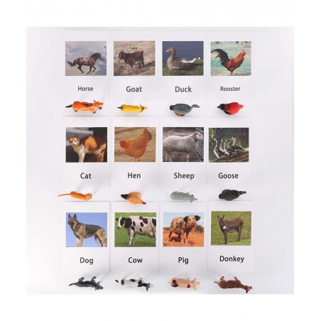 LOGANUSJ 48 PCS Montessori Marine Insects Poultry and Zoo Animals Figure Match 4 Sets - Matching Cards Montessori Language Ma...