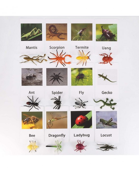 LOGANUSJ 48 PCS Montessori Marine Insects Poultry and Zoo Animals Figure Match 4 Sets - Matching Cards Montessori Language Ma...