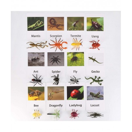 LOGANUSJ 48 PCS Montessori Marine Insects Poultry and Zoo Animals Figure Match 4 Sets - Matching Cards Montessori Language Ma...