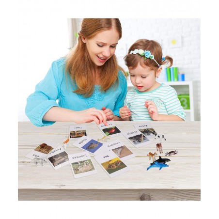 LOGANUSJ 48 PCS Montessori Marine Insects Poultry and Zoo Animals Figure Match 4 Sets - Matching Cards Montessori Language Ma...