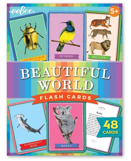 eeBoo: Beautiful World Educational Flash Cards Colorful Animal Graphic and the Reverse Side Provides Information Perfect Way ...