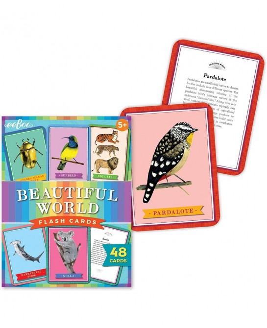 eeBoo: Beautiful World Educational Flash Cards Colorful Animal Graphic and the Reverse Side Provides Information Perfect Way ...