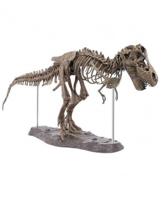 3D T-Rex Dinosaur Skeleton Model Puzzles Simulation Educational Toy Pre-School Teaching Soft Non-Toxic PVC Material Gifts $50...