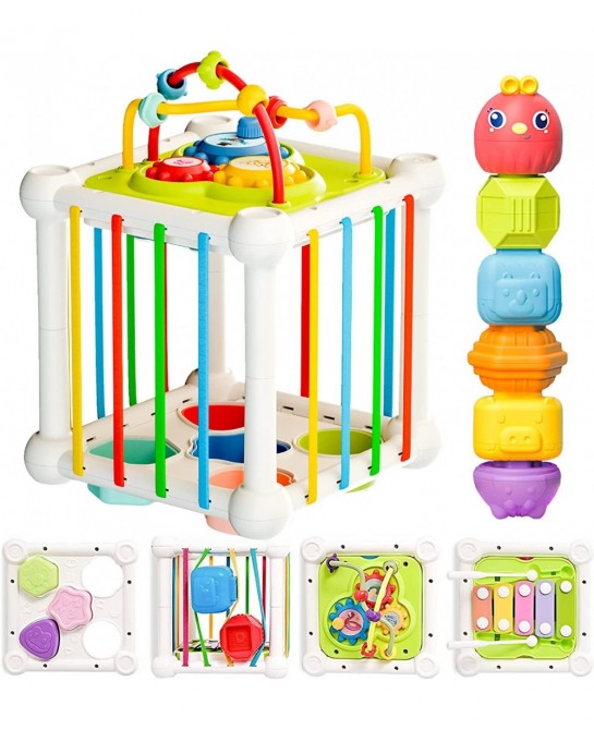 Montessori Toys for 1 Year Old 5 in 1 Baby Toys 6 to 12 Months Sensory Toys Shape Sorter Colorful Cube with 10 Pcs Sensory St...