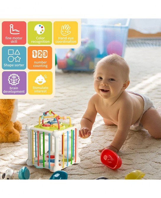 Montessori Toys for 1 Year Old 5 in 1 Baby Toys 6 to 12 Months Sensory Toys Shape Sorter Colorful Cube with 10 Pcs Sensory St...