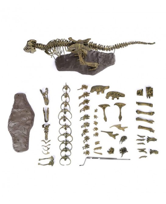 3D T-Rex Dinosaur Skeleton Model Puzzles Simulation Educational Toy Pre-School Teaching Soft Non-Toxic PVC Material Gifts $50...